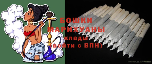 ГАЛЛЮЦИНОГЕННЫЕ ГРИБЫ Баксан